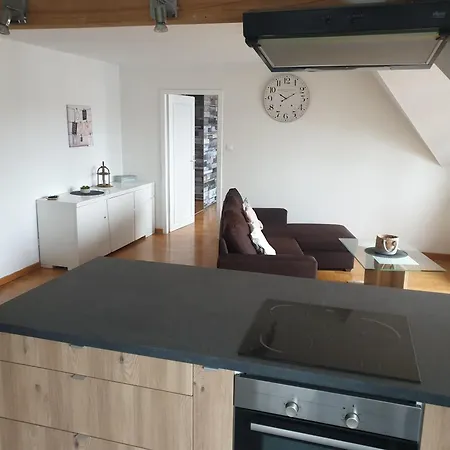 Apartment Sur Les Toits Du Centre Haguenau